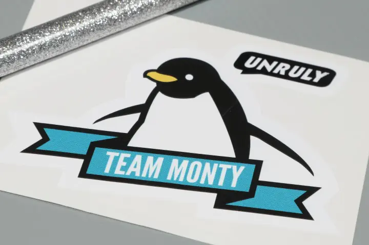 kiss cut vinyl stickers