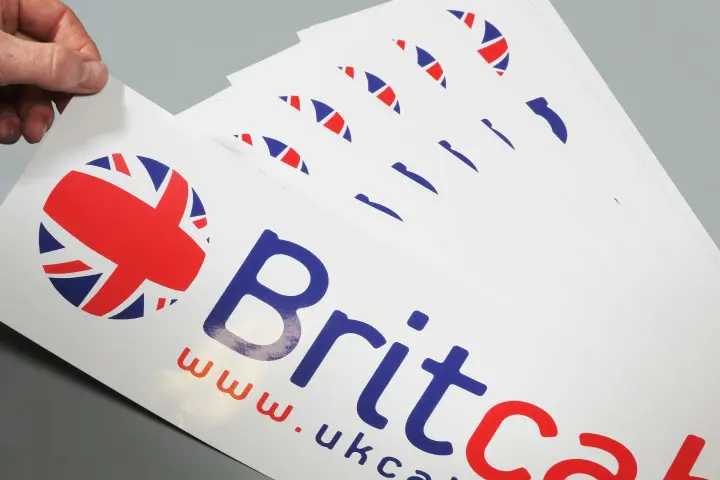 Britcab logo sticker